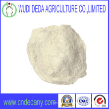 Feed Grade High Quality Wheat Gluten Powder Flour